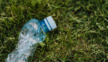 A single plastic water bottle takes about 450 years to decompose — meaning every bottle produced since the 1970s is still essentially intact somewhere on Earth, slowly breaking down into particles now found in Arctic ice, Pyrenees rainfall, and the sediments of the Mariana Trench