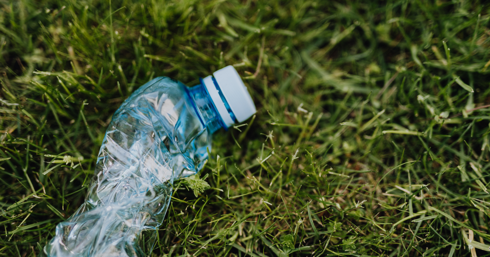 A single plastic water bottle takes about 450 years to decompose — meaning every bottle produced since the 1970s is still essentially intact somewhere on Earth, slowly breaking down into particles now found in Arctic ice, Pyrenees rainfall, and the sediments of the Mariana Trench