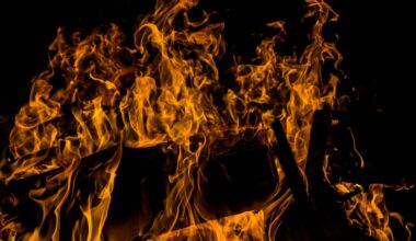 Trial witness Sharon Pawa denies framing Laura Williams for Auckland ‘man cave’ arson