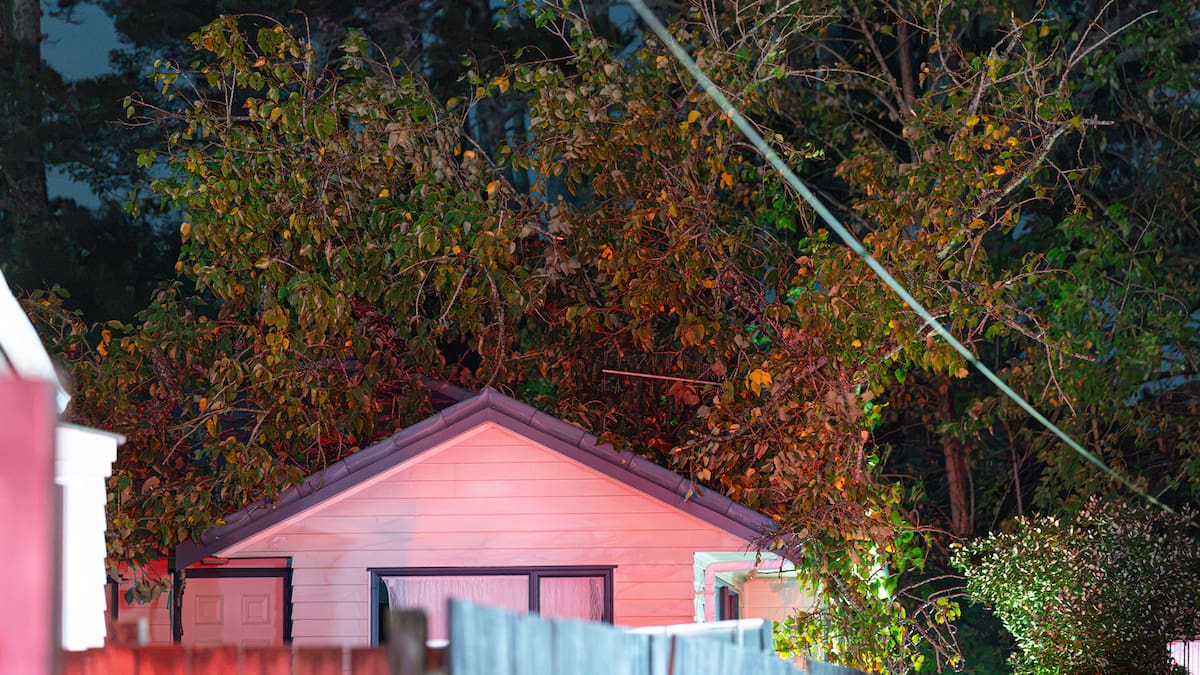 Tree falls on West Auckland home with tenants inside