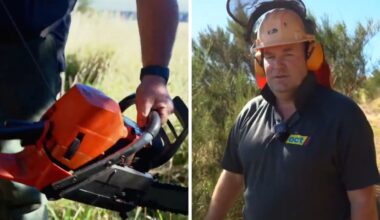 Concern raised with Worksafe about Associate Agriculture Minister Andrew Hoggard’s chainsaw use in social media video