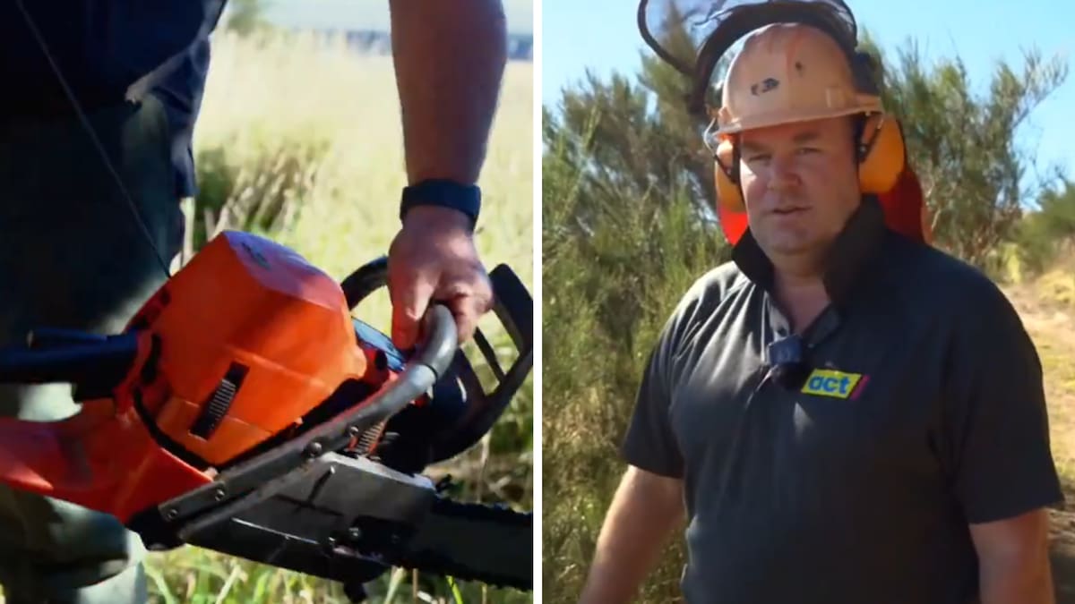 Concern raised with Worksafe about Associate Agriculture Minister Andrew Hoggard’s chainsaw use in social media video