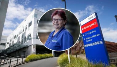 Waikato Hospital ED swamped as winter patient surge overwhelms staff