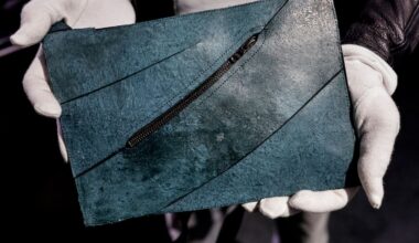 Handbag made from T-rex skin may fetch $860,000 at auction