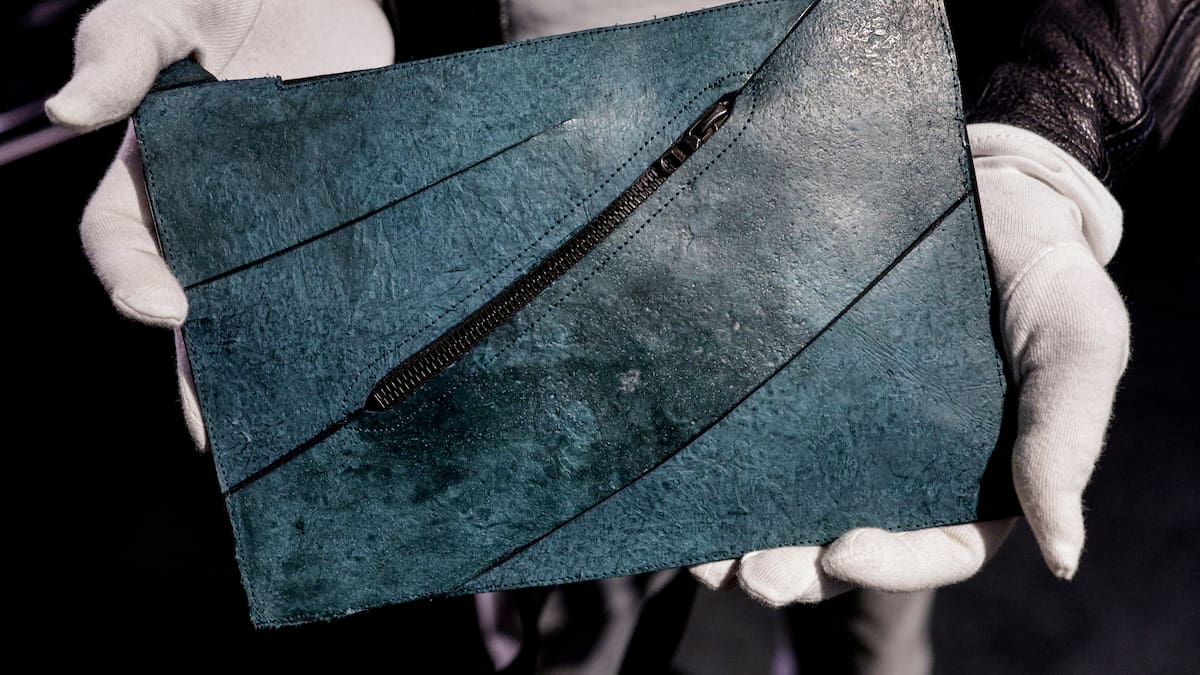 Handbag made from T-rex skin may fetch $860,000 at auction