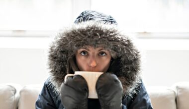 Auckland’s fake winter exposed: Data shows the city never really freezes
