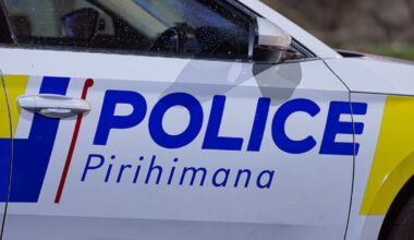 Driver dies after single-vehicle crash near Tokoroa