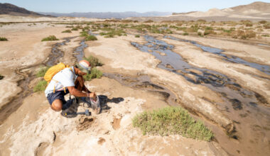Jinsu Elhance collects soil samples in the Mojave Desert for the Society for the Protection of Underground Networks. Credit: SPUN