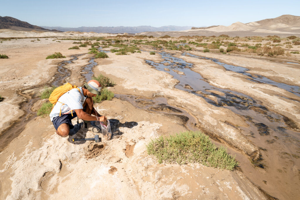 Jinsu Elhance collects soil samples in the Mojave Desert for the Society for the Protection of Underground Networks. Credit: SPUN