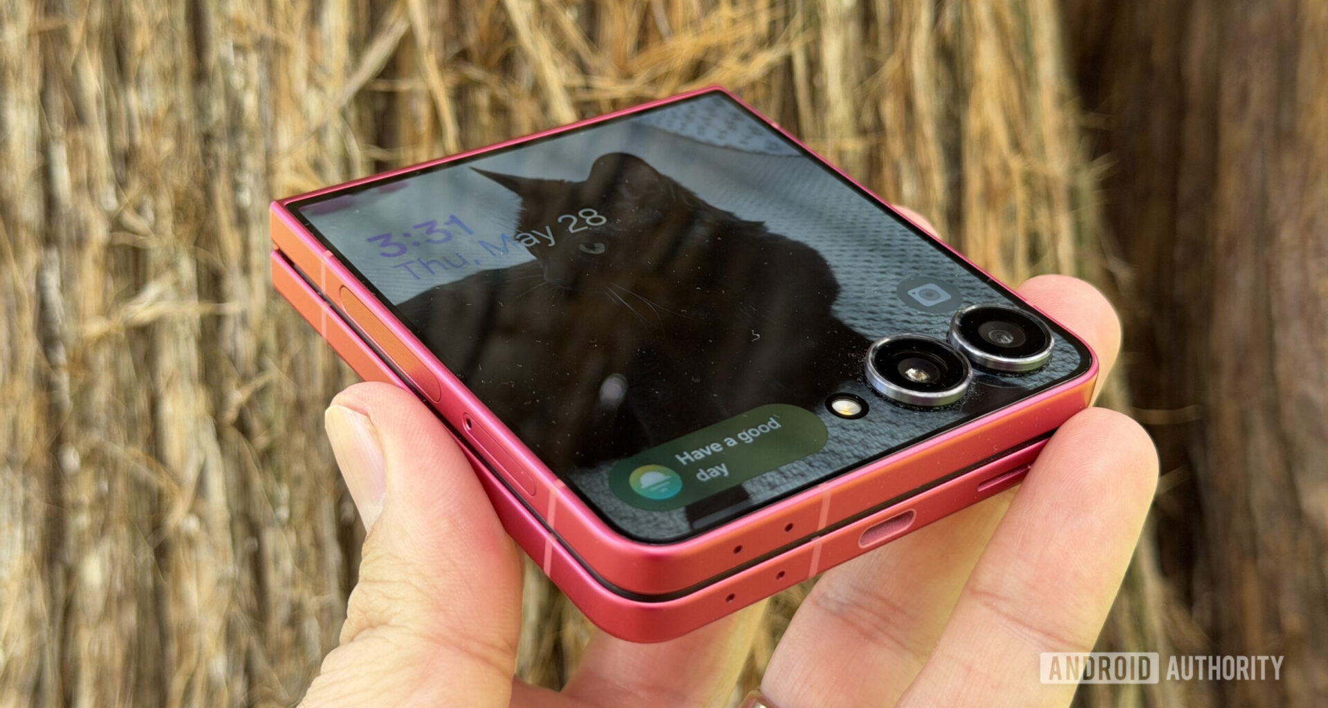 Samsung Galaxy Z Flip 7 cat cover screen