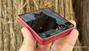 Samsung Galaxy Z Flip 7 cat cover screen
