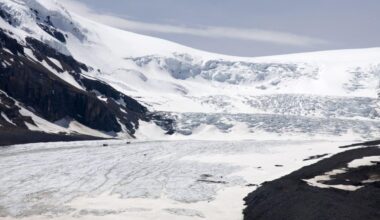 Scientists Tracked These Strange Arctic Icebergs For Months, What They Found On The Seafloor Was Something No One Expected