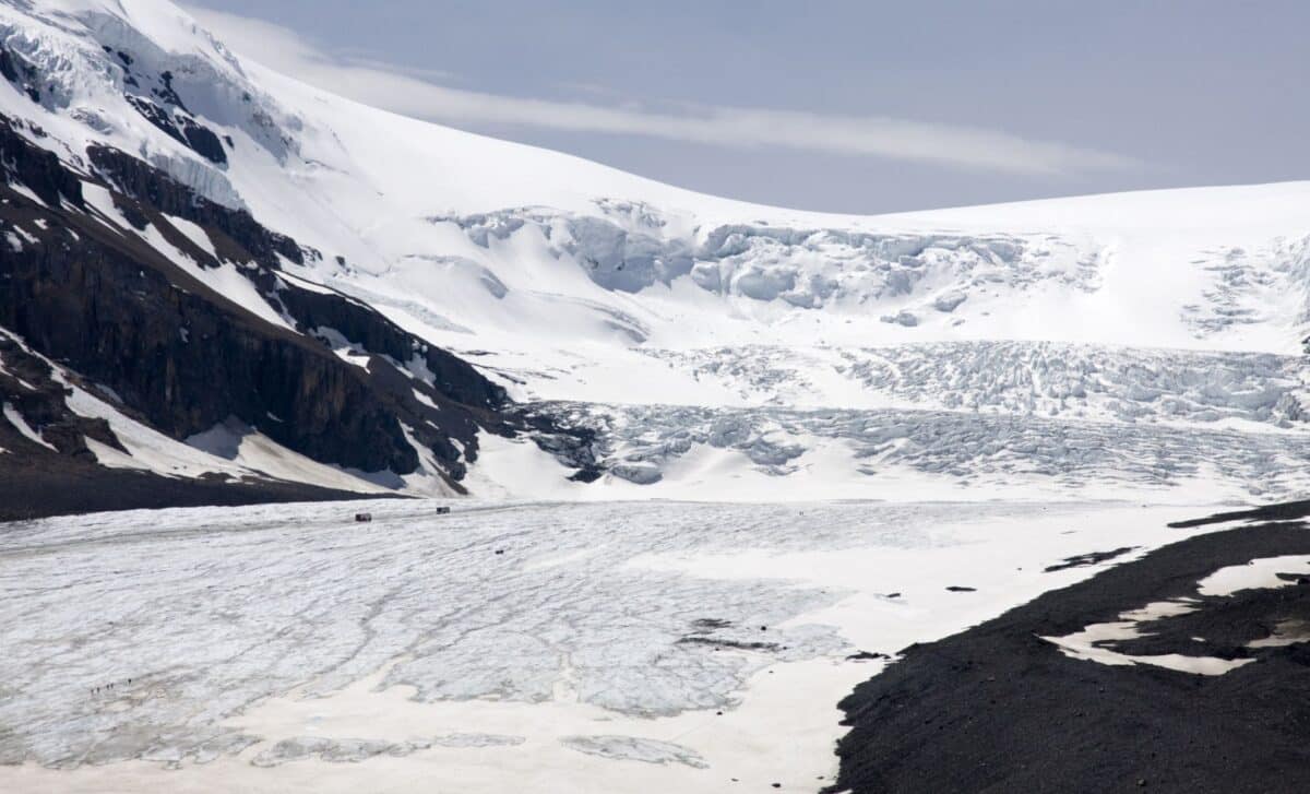 Scientists Tracked These Strange Arctic Icebergs For Months, What They Found On The Seafloor Was Something No One Expected
