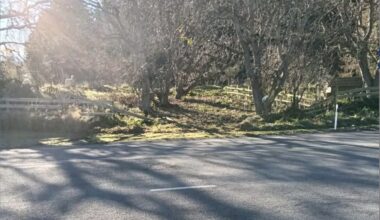"Fantastic young man" Rangiora High School student dies in Loburn crash