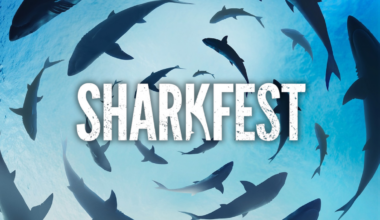 Sharkfest Returns for 14th Year on Nat Geo on July 5