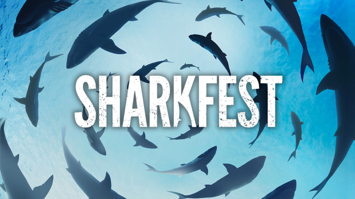 Sharkfest Returns for 14th Year on Nat Geo on July 5