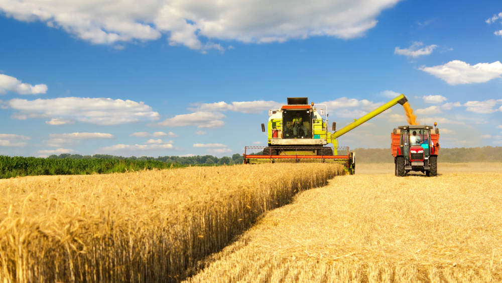 Agricultural prices decreased in Q1 2026 - News articles