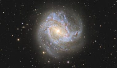 Deep-sky photos: A yellowish galaxy with blue spirals seen face-on, surrounded by sparse bright stars.
