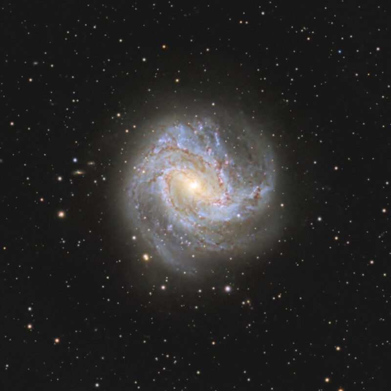 Deep-sky photos: A yellowish galaxy with blue spirals seen face-on, surrounded by sparse bright stars.