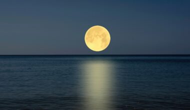 Strawberry Moon 2026: Last micromoon of the year is about to rise
