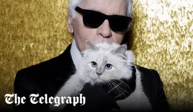 The fall from grace of the world’s richest cat