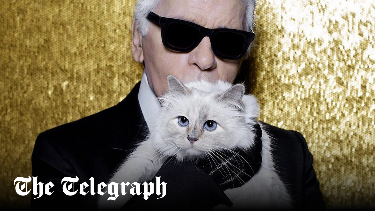 The fall from grace of the world’s richest cat