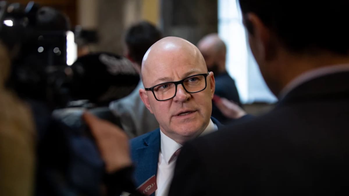 Government promises ‘faster access’ to maternal mental healthcare and more frontline staff, advocate says step in right direction but wants detail