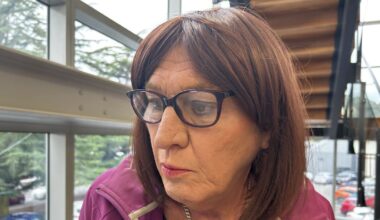 Nelson mechanic Marie Hearn sentenced to home detention for shooting colleague’s cars