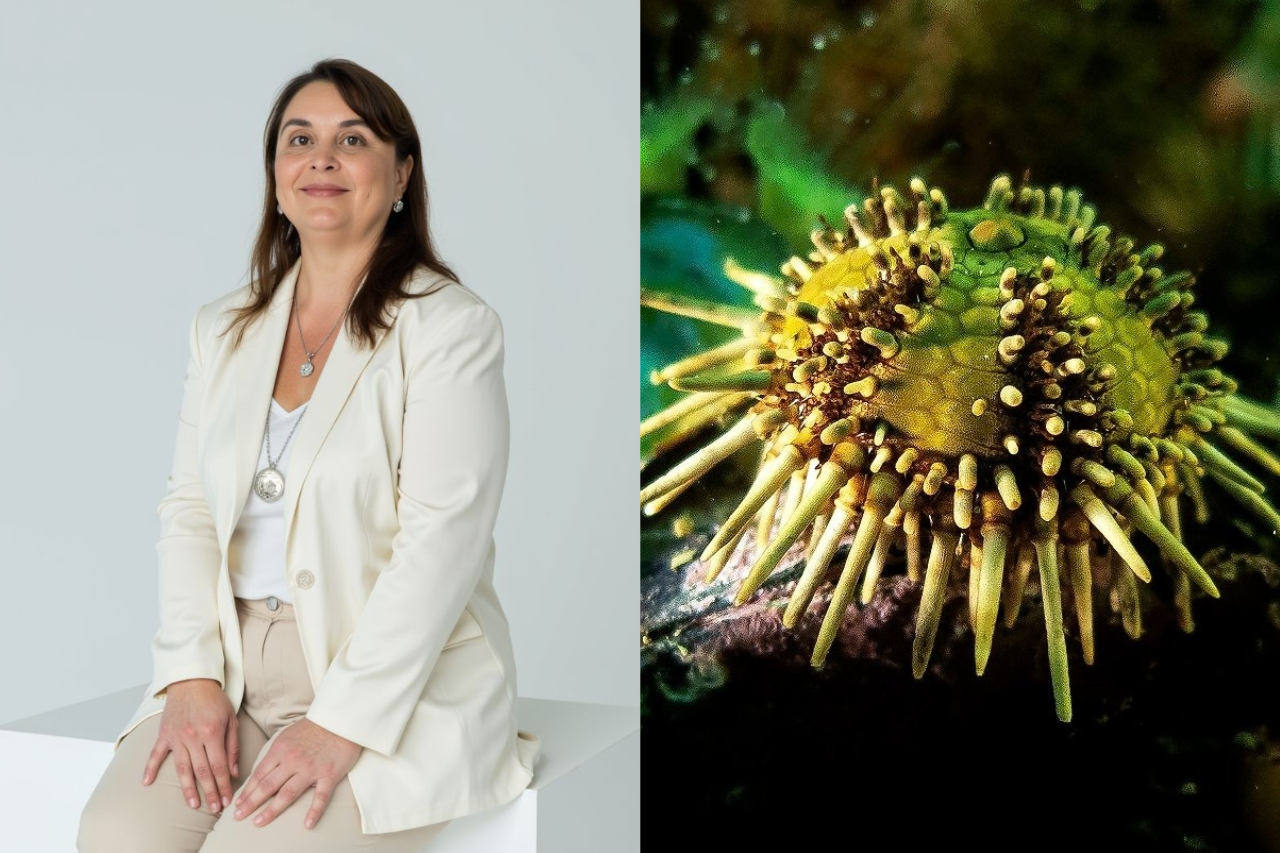 Tamara Rubilar, the marine biologist who turned a family crisis into a biotech venture