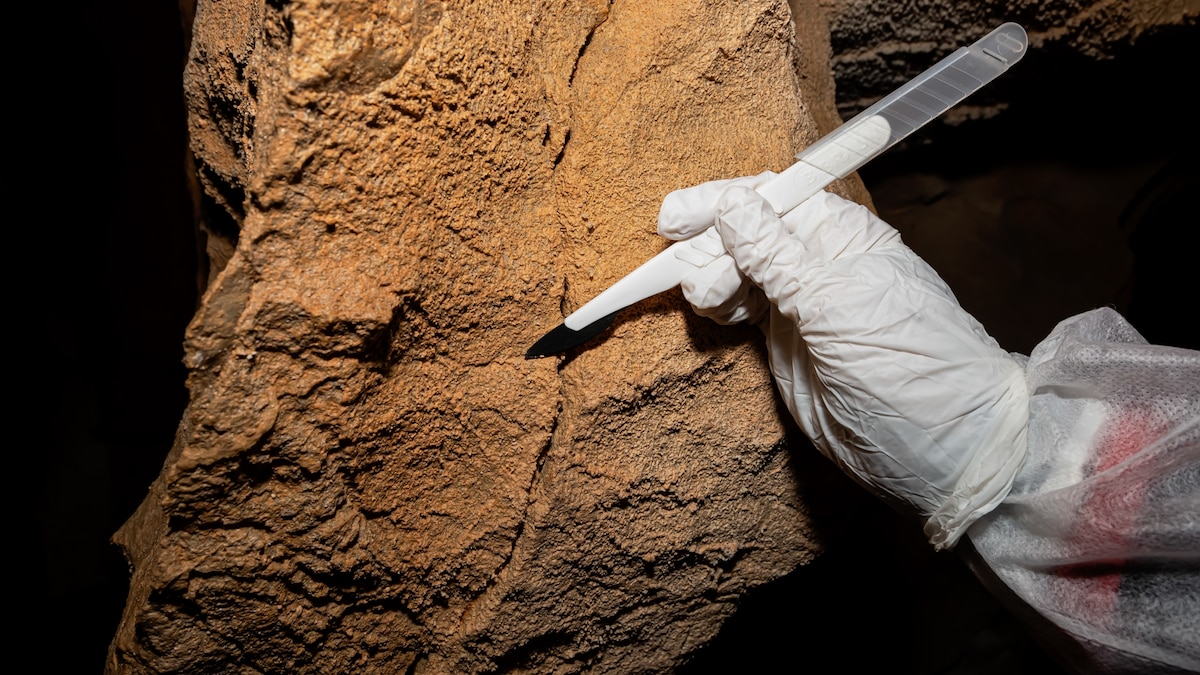 In a first, scientists extract ancient human DNA from cave walls