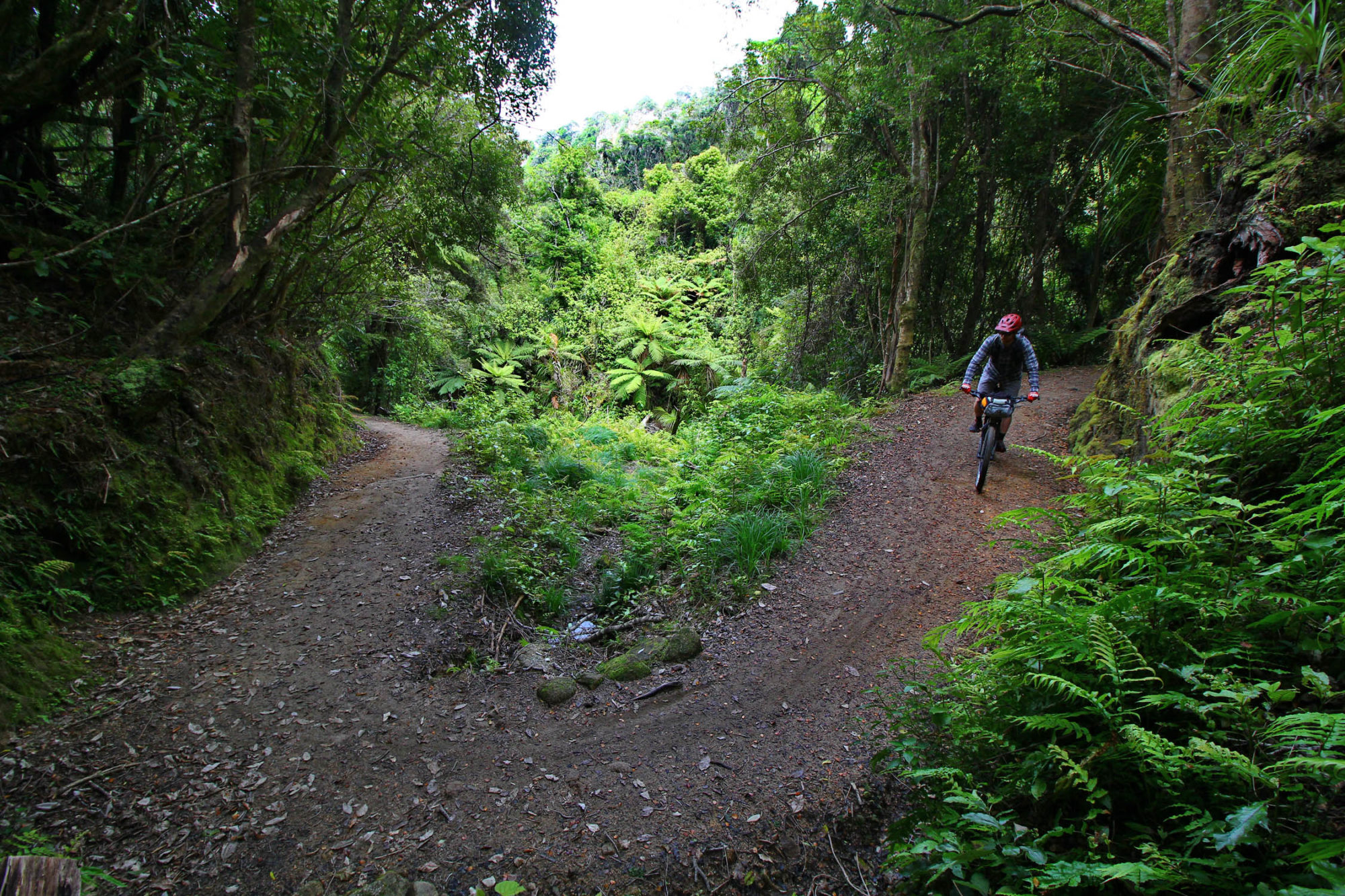 Top of the South, TOTS, Bikepacking Route, New Zealand