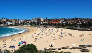 Woman bitten by shark at Coogee Beach airlifted to hospital in critical condition