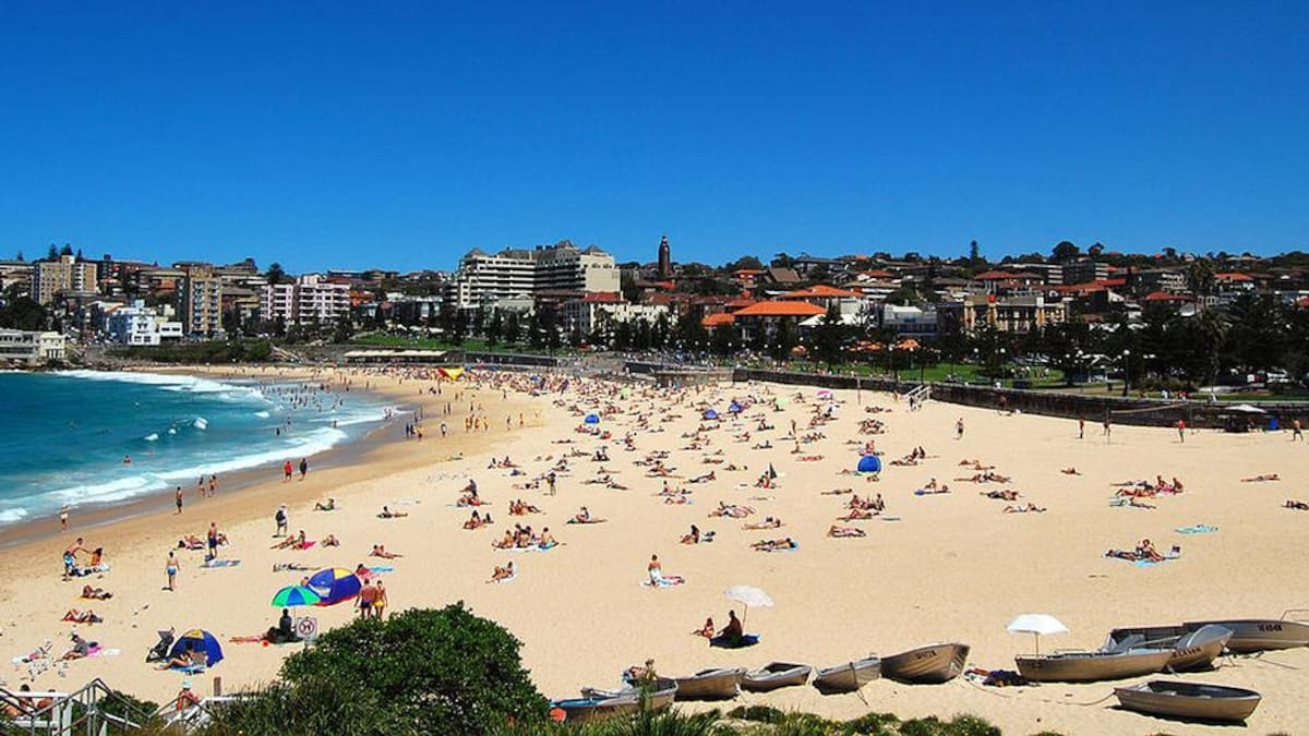 Woman bitten by shark at Coogee Beach airlifted to hospital in critical condition