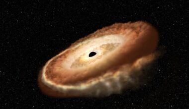 A star is shredded into a donut shape by a supermassive black hole.