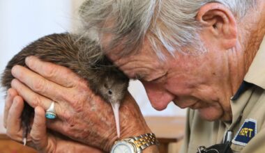 Whangārei bird rescue founders fined by DoC after social media post reveals member of public holding a kiwi