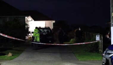 Reported assault in Panmure, Auckland - person taken into police custody