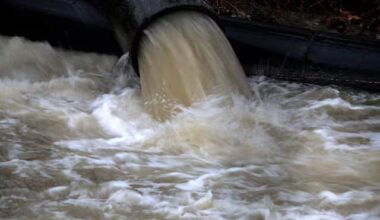 Health experts to screen US wastewater for disease outbreaks during World Cup