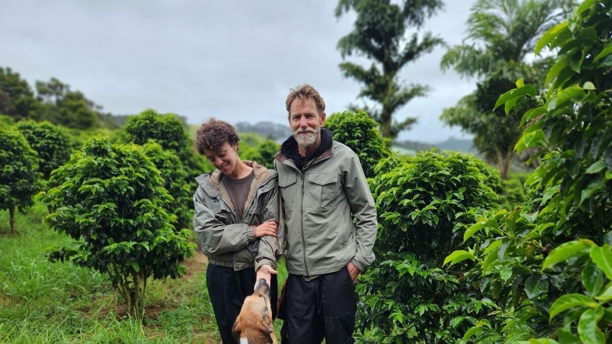 Country Life: Brewing up a taste for NZ grown coffee
