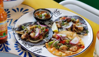 Jesse Mulligan Reviews Taco Loco, Westmere: Good Enough For Lunch But There’s Work Still To Do For Dinner