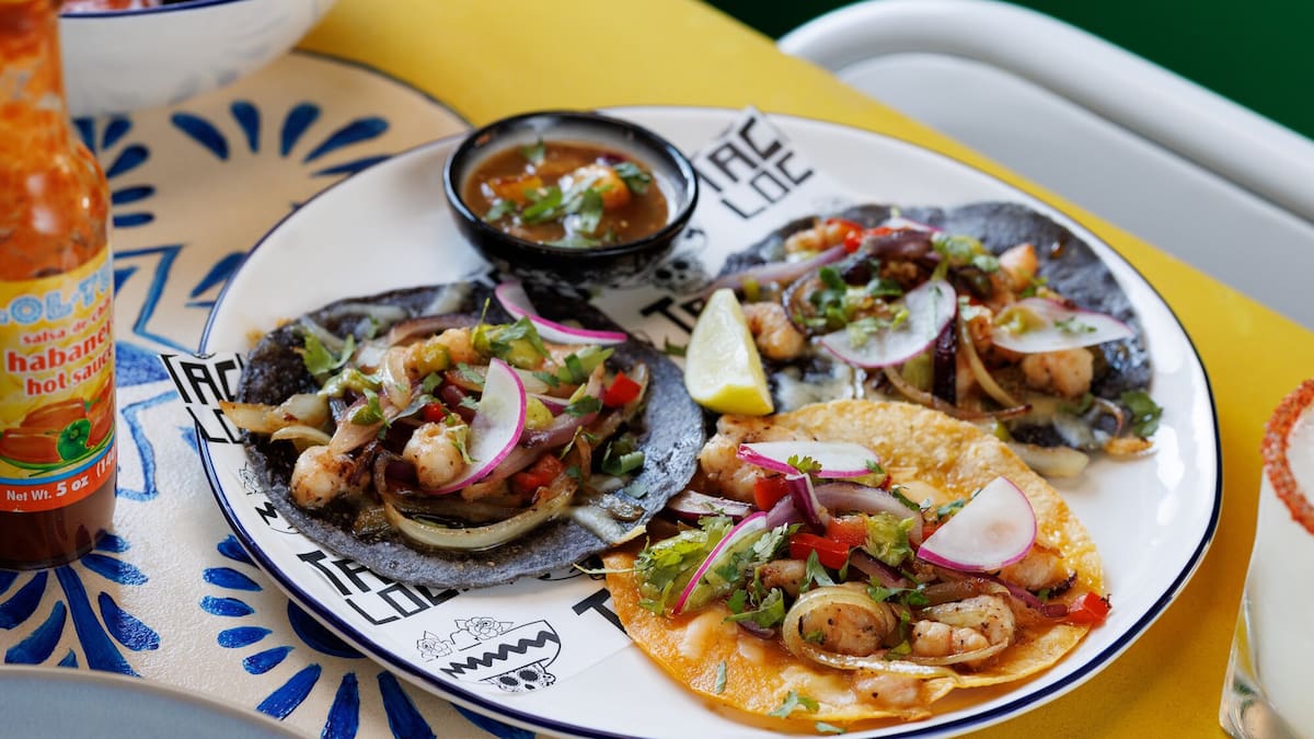 Jesse Mulligan Reviews Taco Loco, Westmere: Good Enough For Lunch But There’s Work Still To Do For Dinner
