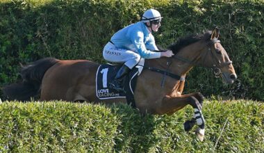 Farewell to West Coast, one of the best jumpers New Zealand racing has ever produced