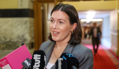 NZ First secures win in health and safety reforms, delaying commencement until after election