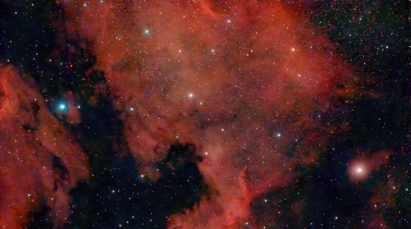 A large, orange cloud with the shape of North America, cntaining numerous immersed faint stars.