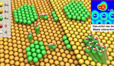 Gas-Solid Van Der Waals Interactions Drive Evolution of Surface Nanostructures----Chinese Academy of Sciences