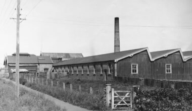 Pastures Past: NZ woollen mills at full capacity as wartime demand surges