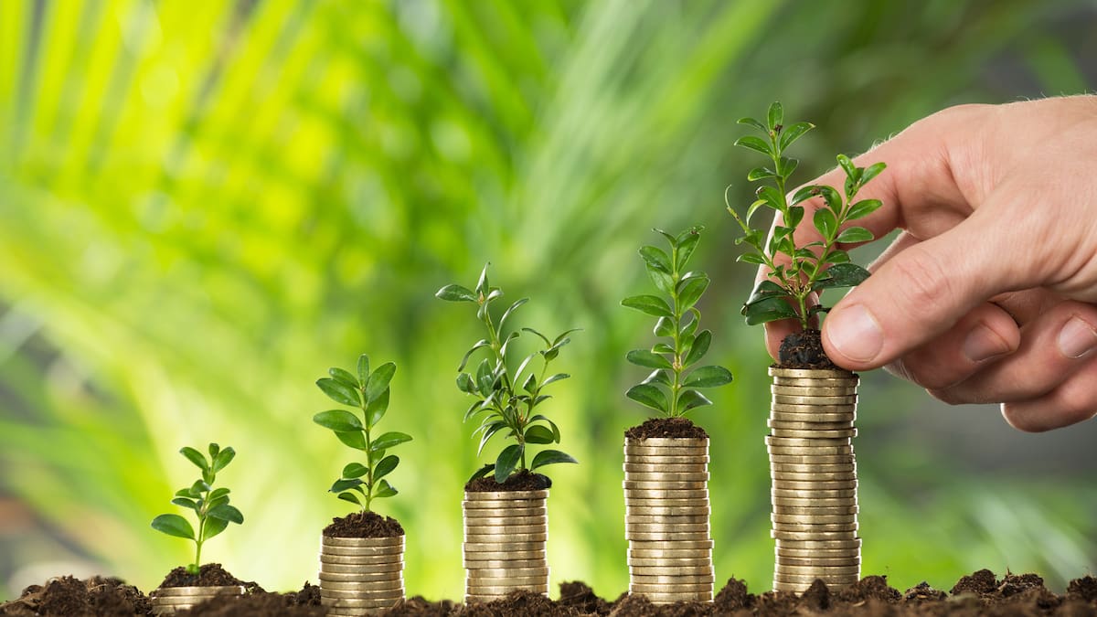 How a 12% KiwiSaver rate reshapes retirement saving – Generate Wealth Weekly