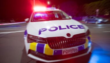 Witness appeal after fatal Taupō crash claims life of Auckland man