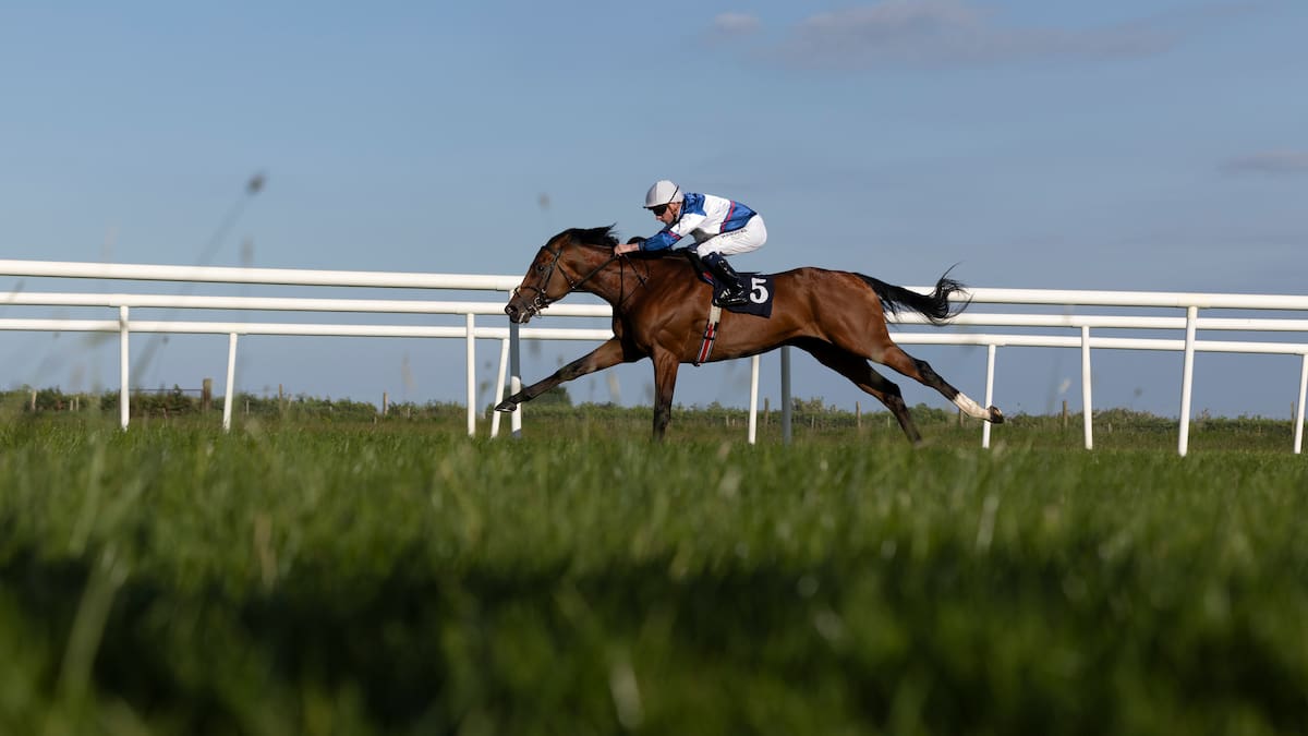 New Zealand owners set to Go Racing at world’s greatest carnival