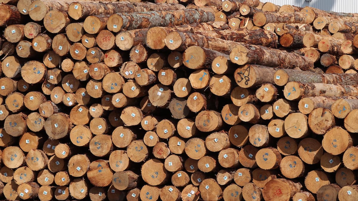 Overseas buyer snaps up another Hawke’s Bay farm for forestry conversion