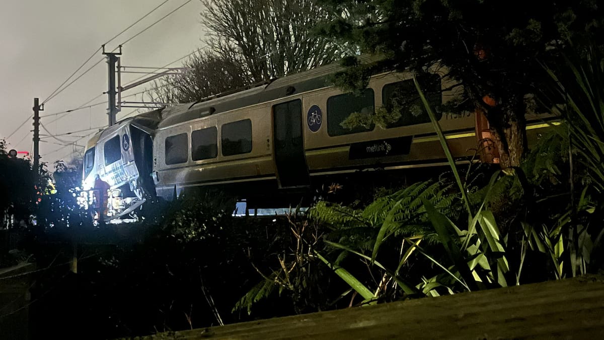 Johnsonville train services suspended after Khandallah incident